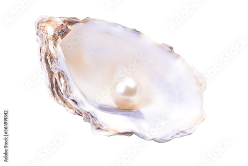 Pearl in a shell isolated