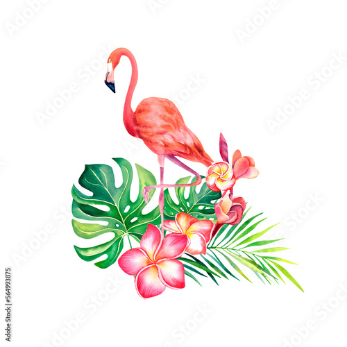 Pink flamingo. Composition of monstera  palm branch and plumeria on an isolated background. An exotic bird. Watercolor illustration.