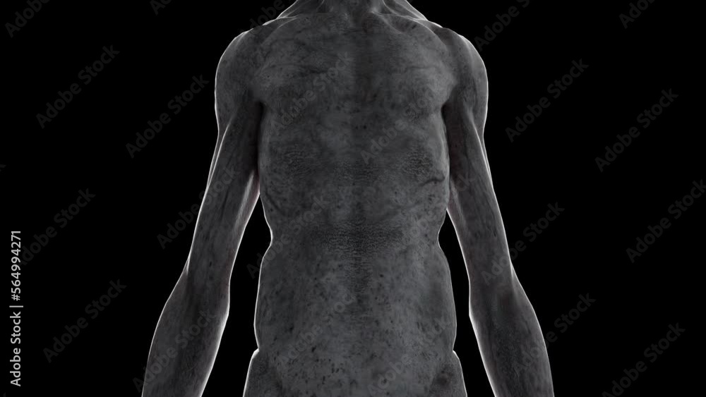 3D rendered animation of an alien 3D rendered animation of an alien