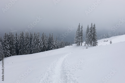 Winter landscape in the Ukrainian Carpathians. Winter landscape © Vadim