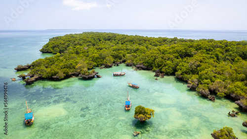 Tropical paradise island Zanzibar aerial view. Place the mangrove forest of Michamvi Safari Blue