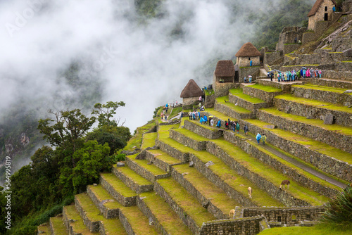 terracing at Machu Pichu, Peru