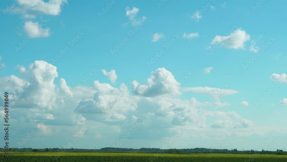 Beautiful Landscape Sunny Blue Sky Field and White Cumulus Clouds Floating in the Sky Time Lapse. Blue Sky and Puffy Clouds in Green Field Timelapse. Beautiful Nature Background 4K.