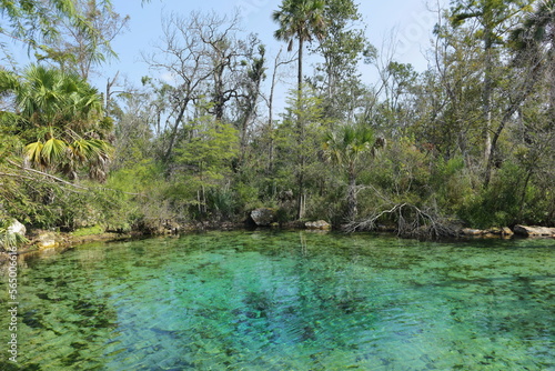 Pitt Spring, By County, Florida, USA