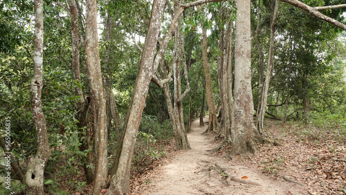 Kuruva Dweep or Kuruva Island