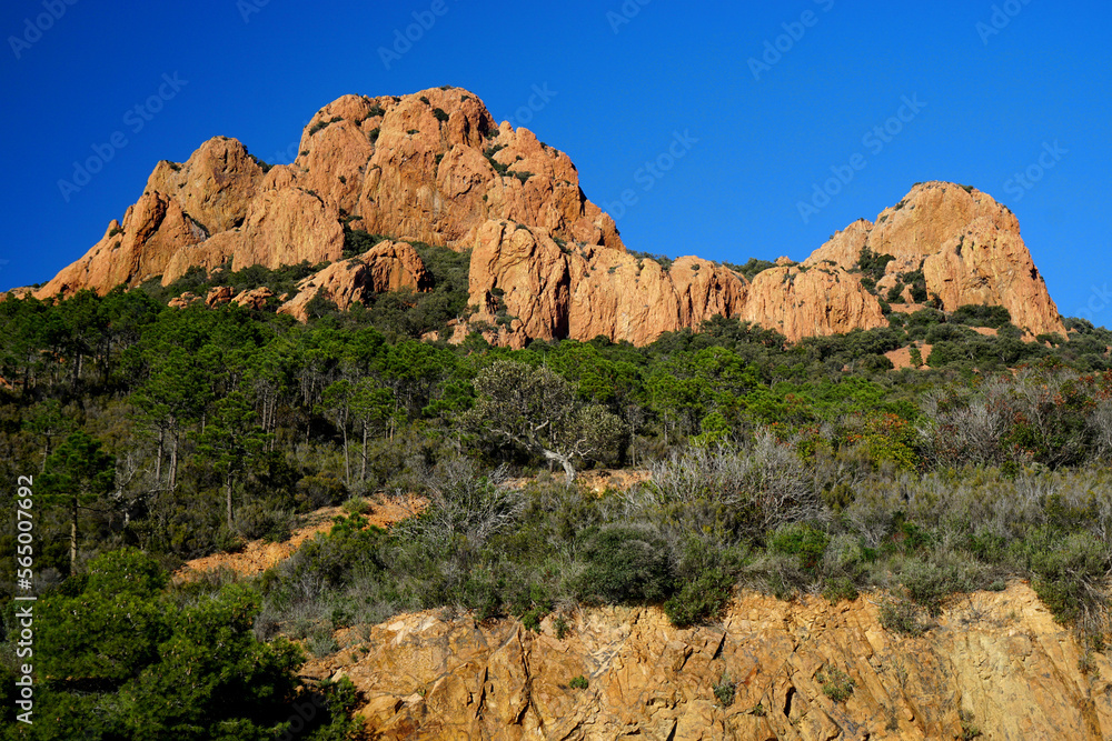 Fototapeta premium Rote Felsen Massif de l’Esterel Côte d’Azur Frankreich