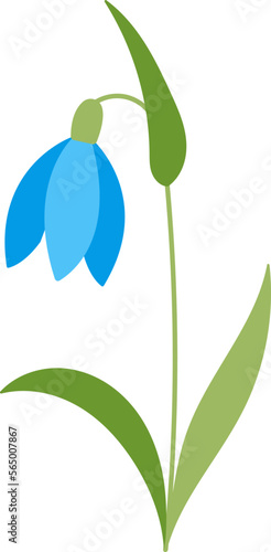 Snowdrop flower flat icon Bloom stem and leaves