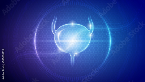 Human Bladder Urinary System Futuristic Medical Hologram Neon Glow Translucent Backdrop Background Illustration