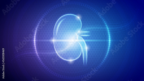 Human Kidney Urinary System Futuristic Medical Hologram Neon Glow Translucent Backdrop Background Illustration