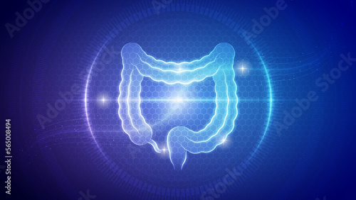 Human Large Intestine Gastrointestinal System Futuristic Medical Hologram Neon Glow Translucent Backdrop Background Illustration photo
