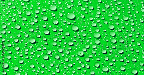 water drops on green background 