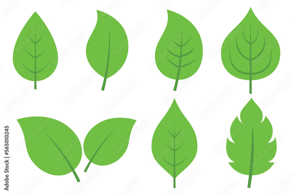 Set Of Different Style Green Leaves Set Of Different Style Green Leaves