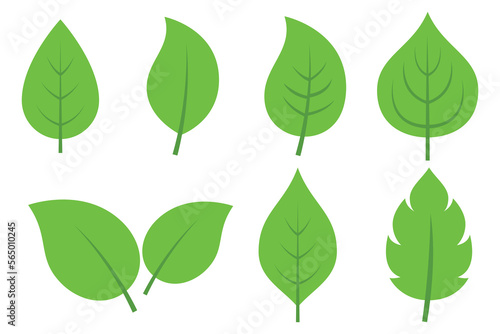 Set Of Different Style Green Leaves