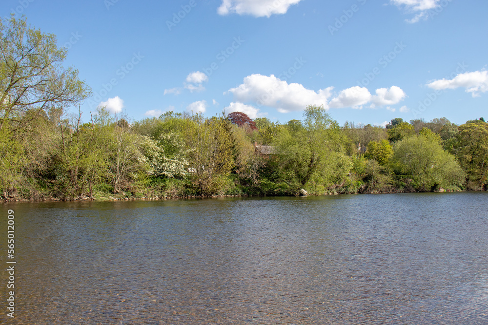 Fototapeta premium River Wye and the Wye valley in the Summertime.
