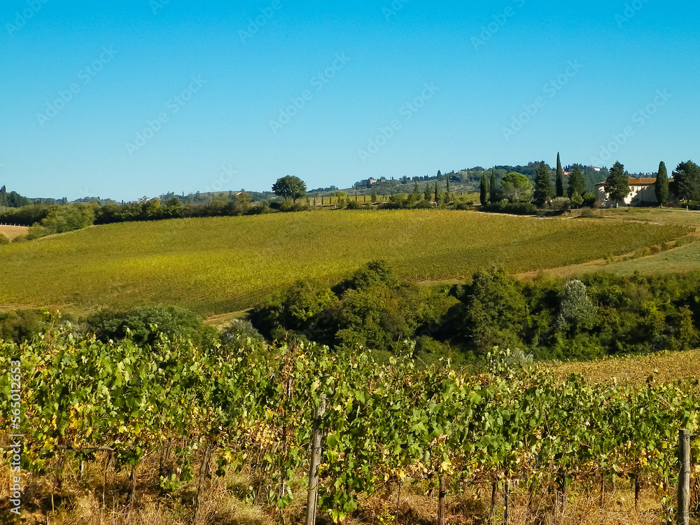 Landscape of the Tuscan vineyards, Italy