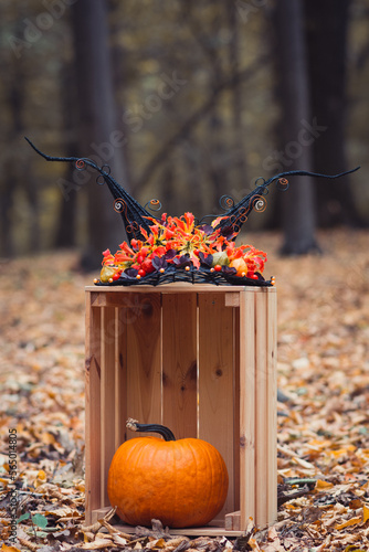 Halloween handmade witch hat on a pumpkin in a forest