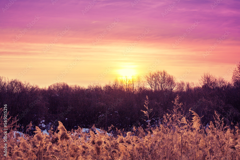 Rural landscape in the evening. Beautiful sunset in the countryside in autumn
