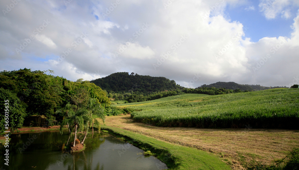 countryside near Le Robert village, Martinique island