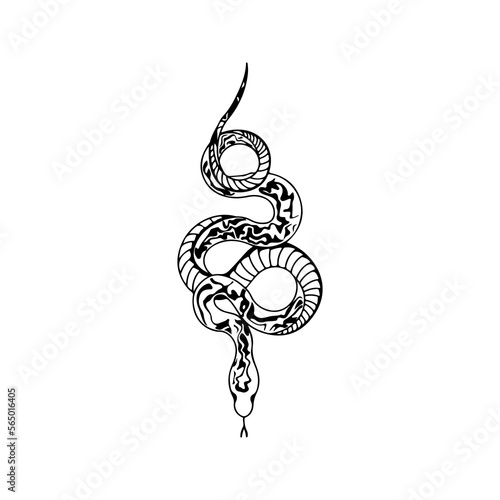 vector illustration of a snake