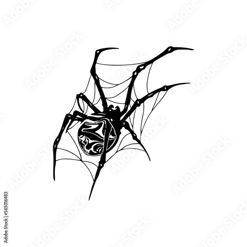 vector illustration of a spider with a web