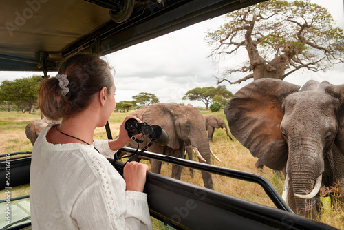 Woman tourist on safari in Africa, traveling by car with an open roof in Kenya and Tanzania, watching elephants in the savannah © soft_light
