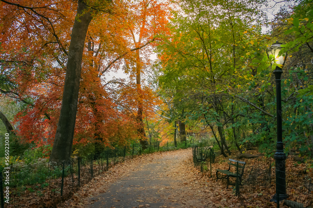 Central park in New York City Manhattan at golden autumn , United States Central park in New York City Manhattan at golden autumn , United States