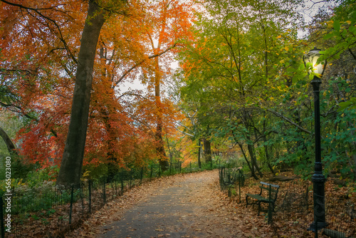 Central park in New York City Manhattan at golden autumn   United States