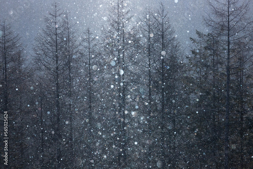 厳冬の霧ケ峰高原からダイヤモンドダストとサンピーラー © Umibozze