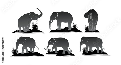 Elephant vector design set in black and white color