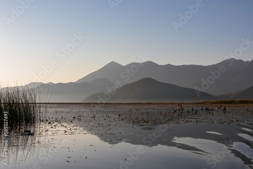 Panoramic view of Lake Skadar National Park in autumn at sunrise near Virpazar  Bar  Montenegro  Balkans  Europe. Stunning silhouette of mountains of Dinaric Alps reflecting on water surface  Albania