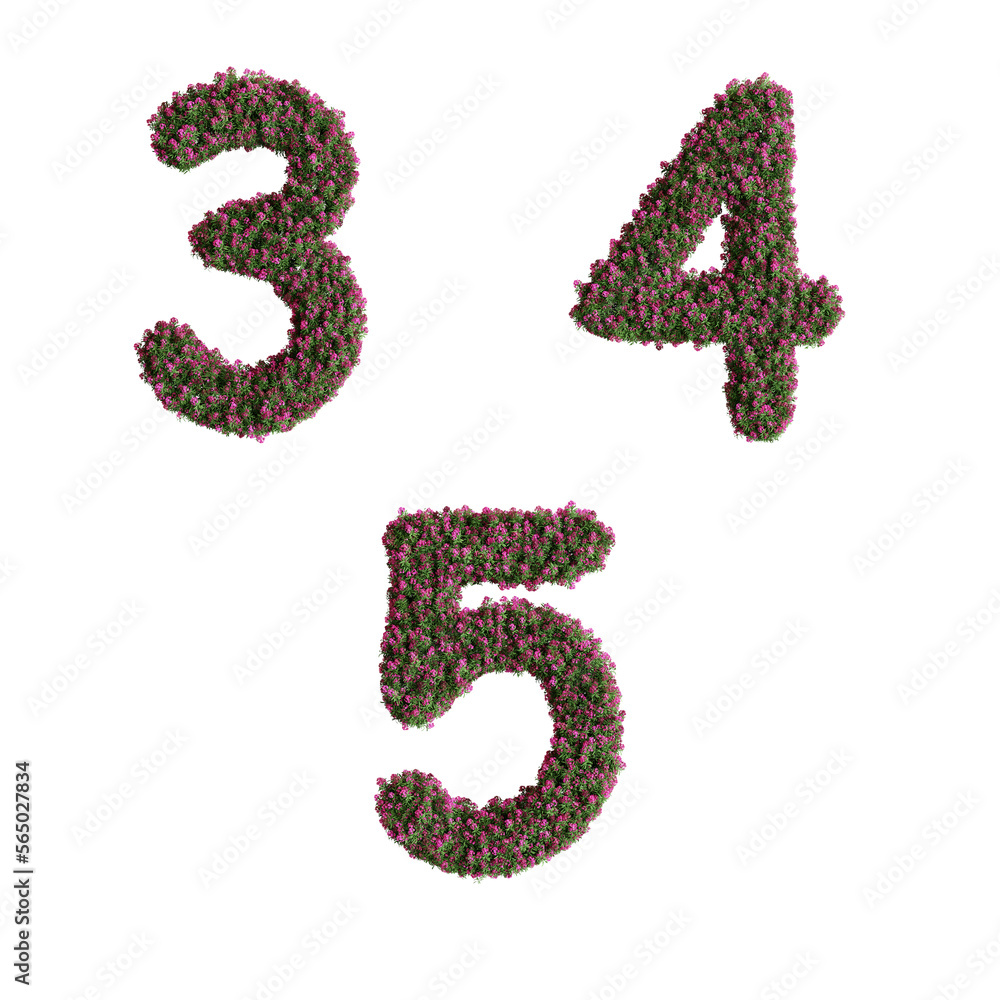 3D letter Nerium oleander flowers alphabet  - digits 3-5