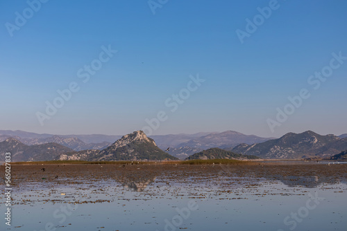 Scenic view of Lake Skadar National Park in autumn near Virpazar, Bar, Montenegro, Balkans, Europe. Travel destination in Dinaric Alps, Albanian border. Stunning landscape water reflection in nature photo