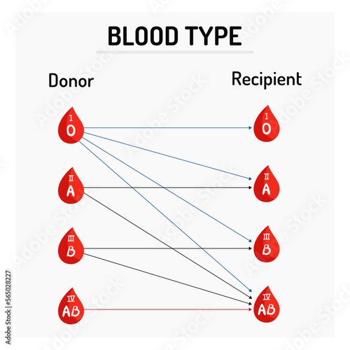 Blood group compatibility table, blood group compatibility, blood group. Table of blood donation. Recipient and donor. Types of blood (A, B, AB, O). World Blood Donor Day