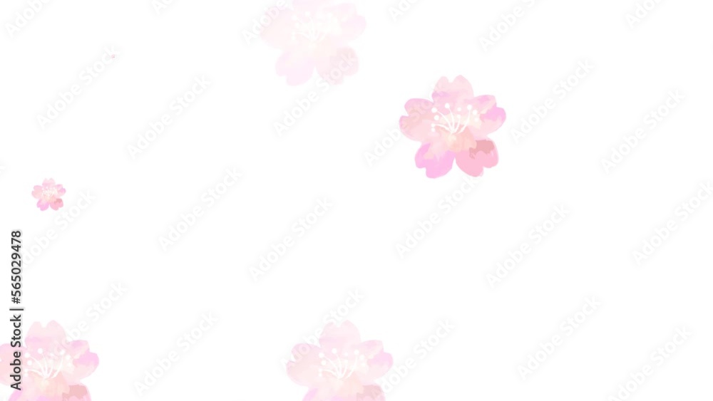 水彩の桜が咲く背景ループアニメーション(アルファチャンネル) 水彩の桜が咲く背景ループアニメーション(アルファチャンネル)