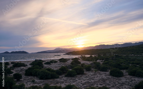 Sunset on the seashore