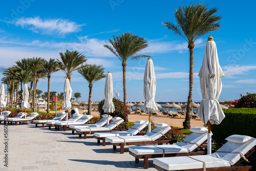 Fototapeta Naklejka Na Ścianę i Meble -  Luxuty hotel view in Egupt with palms, swimming pool and recreation area