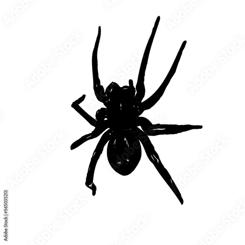 black and white sketch of spider with a transparent background
