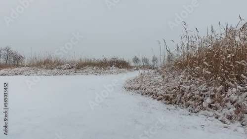 눈 내리는 쓸쓸한 들판 photo