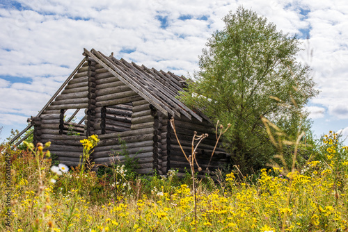 View of an abandoned log house on a field overgrown with yellow flowers, overcast. Conceptual