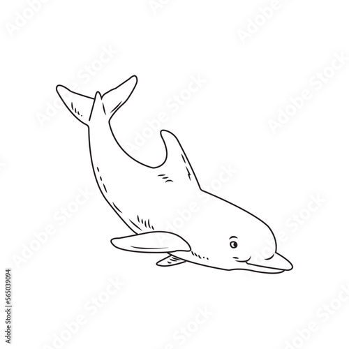 Fototapeta Naklejka Na Ścianę i Meble -  dolphin icon