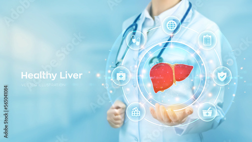 Healthy Liver. Cirrhosis and hepatitis treatment medical concept. Doctor holding in hand the hologram of Human liver and medicine icons network connection on virtual screen. Vector illustration.