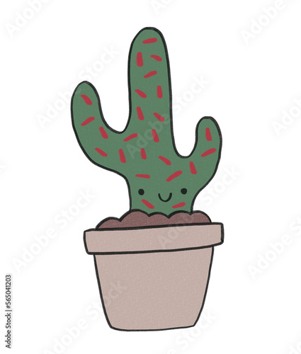 Cactus doux piquant