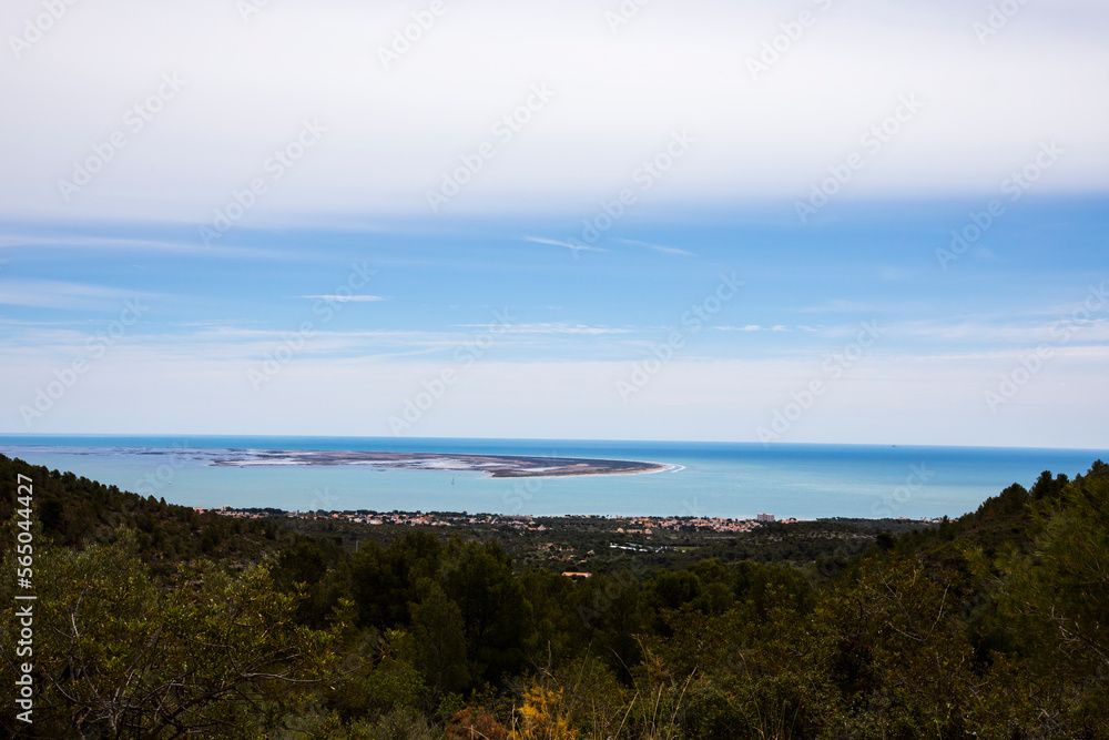 Spring landscape in Delta de l'Ebre Nature Park, Tarragona, Spain Spring landscape in Delta de l'Ebre Nature Park, Tarragona, Spain