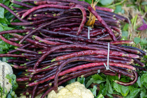 Fresh red long beans