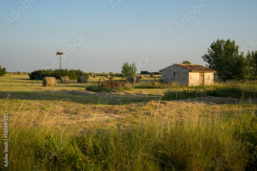 Rustic cabin in wetland prairies on the Gironde estuary, Charente Maritime, France with hay bales and storks nest