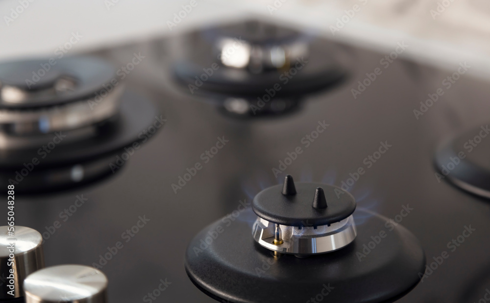 Gas stove burner. Modern kitchen stove with blue flame burning. Gas stove burner. Modern kitchen stove with blue flame burning.