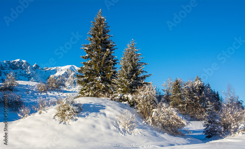 Beautiful winter mountain snow-covered landscape on sunny day. Andalo village, Adamello Brenta Natural Park, Trentino Alto Adige, northern Italy, Europe