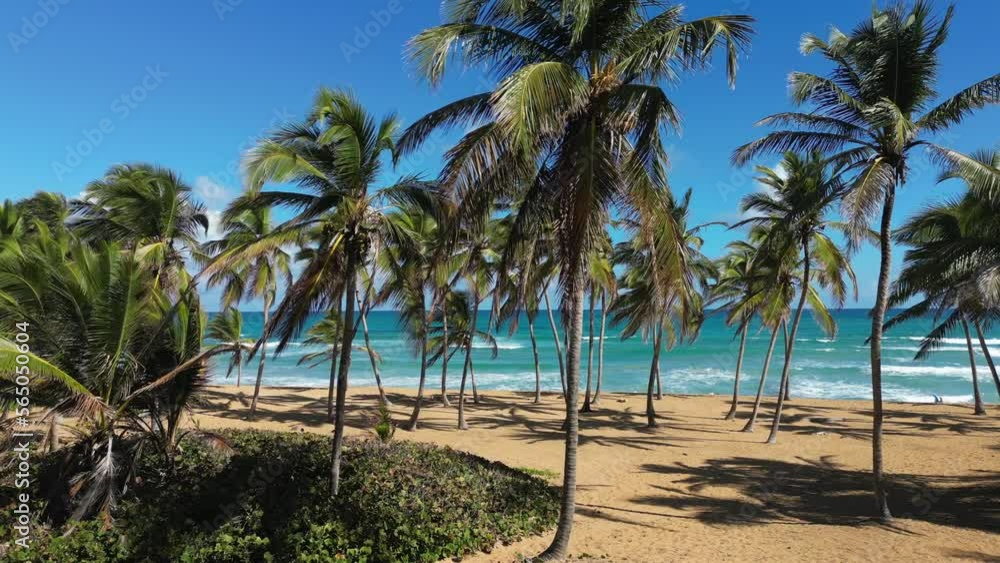 Amazing panoramic aerial view of the wild tropical beach. The turquoise water, big waves and tall palm trees. Best places in the world for summer vacation Amazing panoramic aerial view of the wild tropical beach. The turquoise water, big waves and tall palm trees. Best places in the world for summer vacation