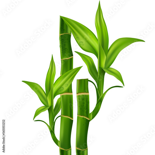 Bamboo Natural Moisture Skin Care Cosmetic.