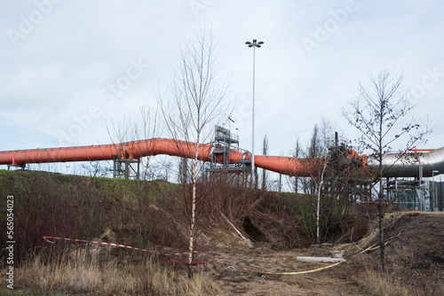 Pipeline and trees in an industrial landscape photo